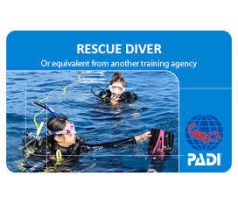 Rescue diver