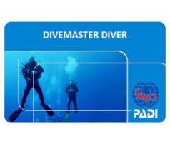 Divemaster